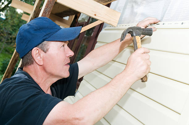 Best Siding Painting and Refinishing  in Ionia, MI